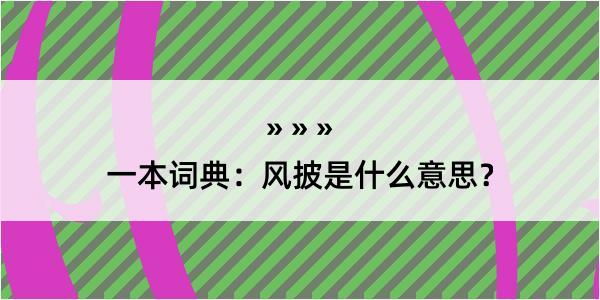 一本词典：风披是什么意思？