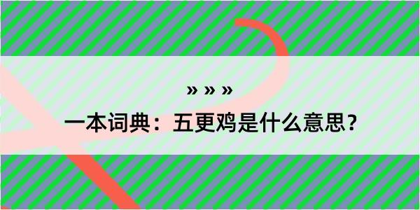 一本词典：五更鸡是什么意思？