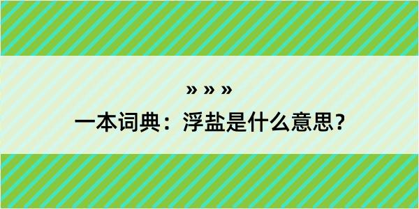 一本词典：浮盐是什么意思？