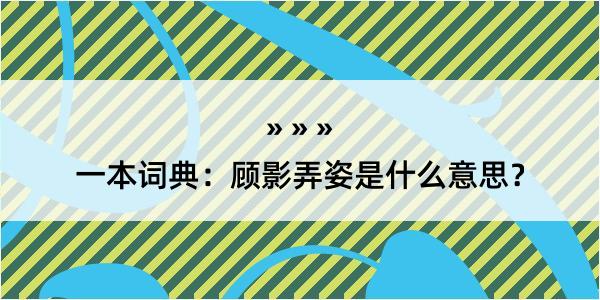 一本词典：顾影弄姿是什么意思？