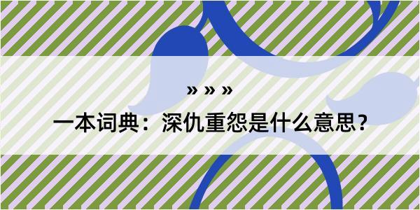 一本词典：深仇重怨是什么意思？