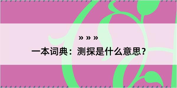 一本词典：测探是什么意思？