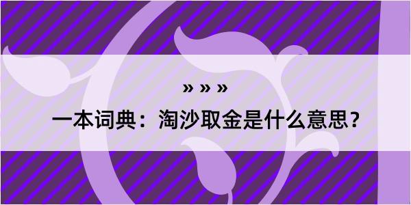 一本词典：淘沙取金是什么意思？