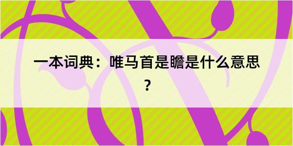 一本词典：唯马首是瞻是什么意思？