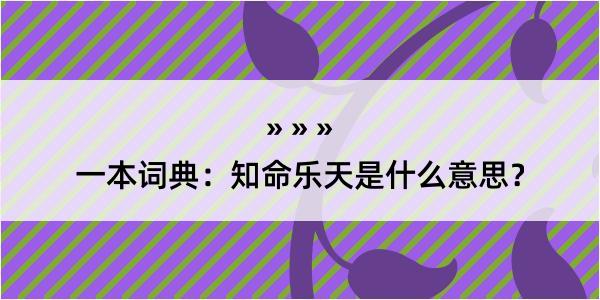 一本词典：知命乐天是什么意思？