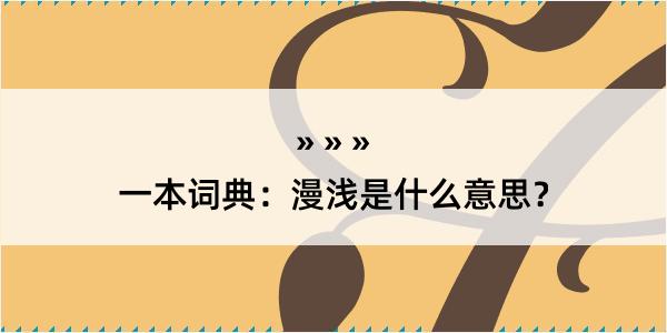 一本词典：漫浅是什么意思？