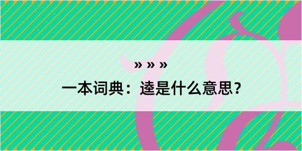 一本词典：逵是什么意思？