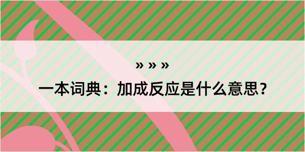 一本词典：加成反应是什么意思？