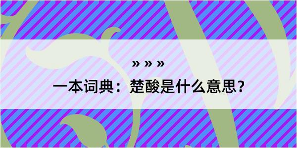 一本词典：楚酸是什么意思？