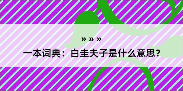 一本词典：白圭夫子是什么意思？