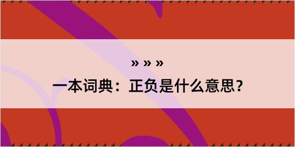 一本词典：正负是什么意思？