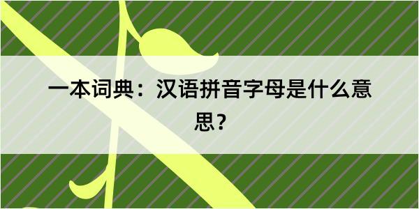 一本词典：汉语拼音字母是什么意思？