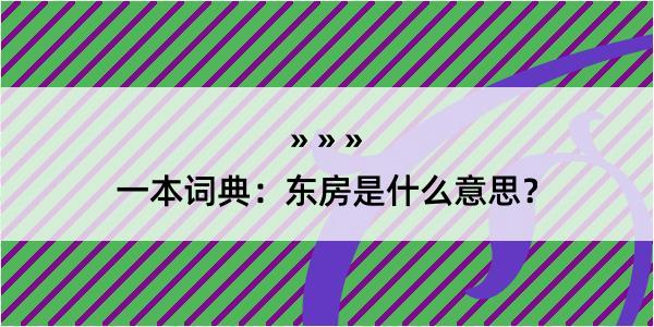 一本词典：东房是什么意思？