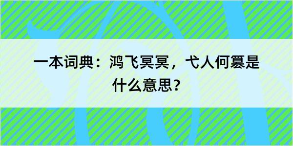 一本词典：鸿飞冥冥，弋人何篡是什么意思？