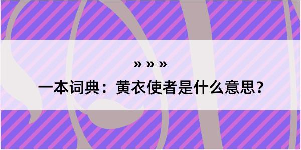 一本词典：黄衣使者是什么意思？