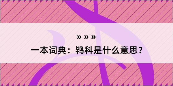 一本词典：鸨科是什么意思？