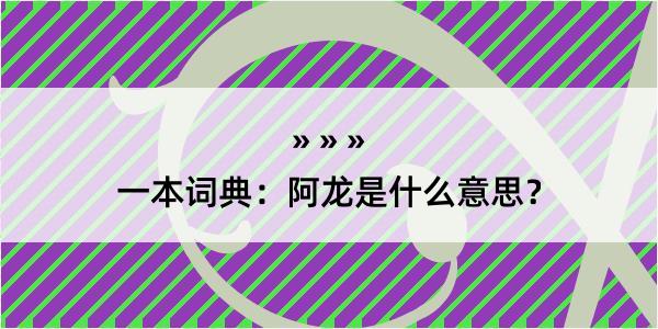 一本词典：阿龙是什么意思？