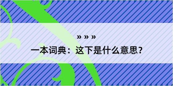 一本词典：这下是什么意思？