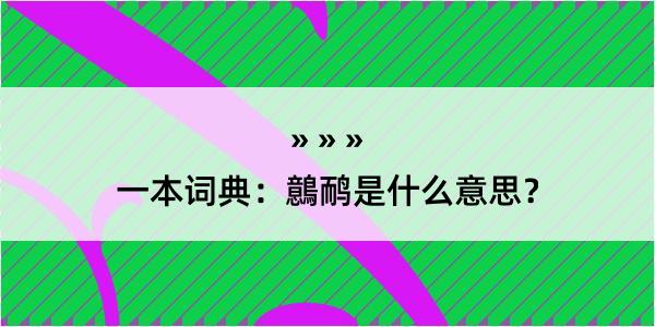 一本词典：鷾鸸是什么意思？