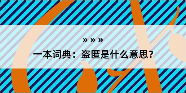 一本词典：盗匿是什么意思？