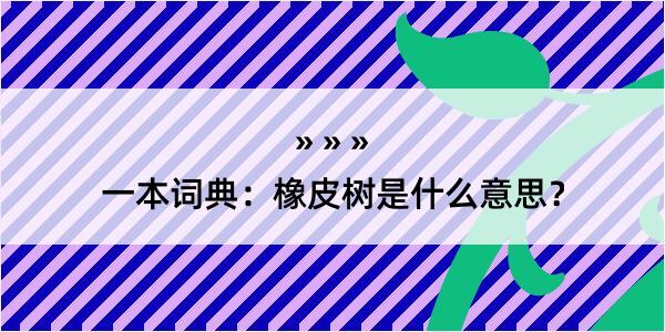 一本词典：橡皮树是什么意思？