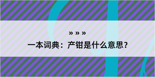 一本词典：产钳是什么意思？