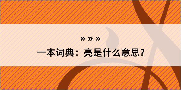 一本词典：亮是什么意思？