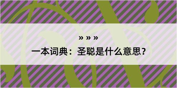 一本词典：圣聪是什么意思？