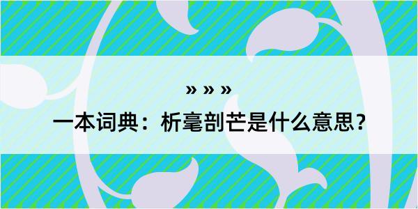 一本词典：析毫剖芒是什么意思？