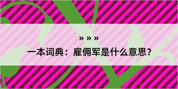 一本词典：雇佣军是什么意思？