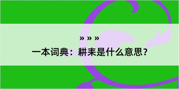 一本词典：耕耒是什么意思？