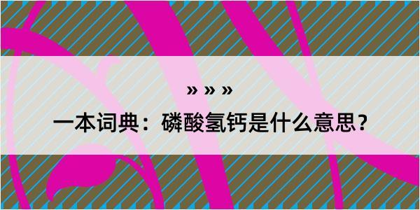 一本词典：磷酸氢钙是什么意思？