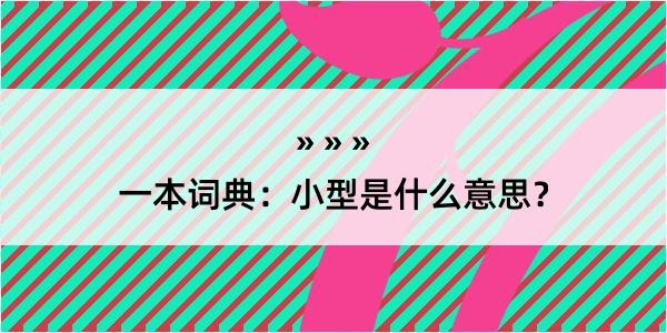 一本词典：小型是什么意思？