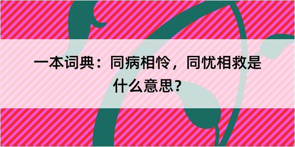 一本词典：同病相怜，同忧相救是什么意思？