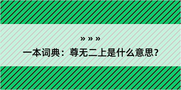 一本词典：尊无二上是什么意思？