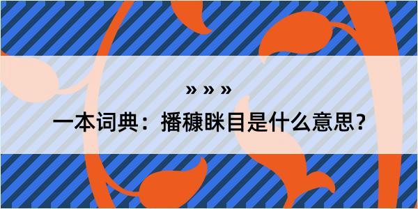 一本词典：播穅眯目是什么意思？