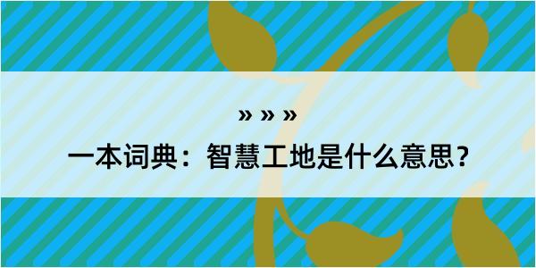 一本词典：智慧工地是什么意思？