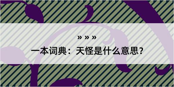 一本词典：天怪是什么意思？