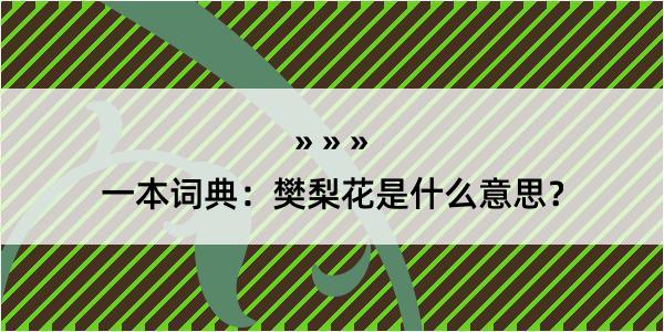 一本词典：樊梨花是什么意思？