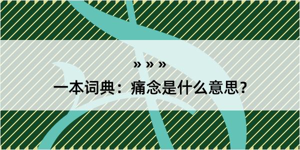 一本词典：痛念是什么意思？