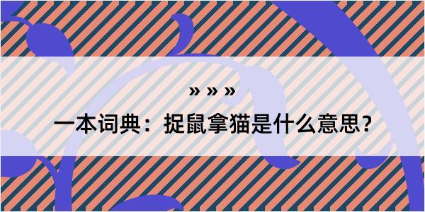 一本词典：捉鼠拿猫是什么意思？