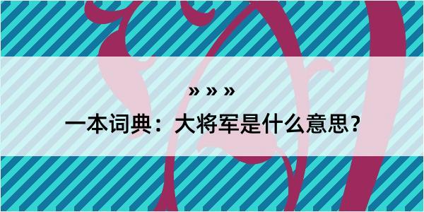 一本词典：大将军是什么意思？