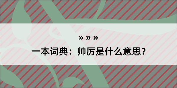 一本词典：帅厉是什么意思？