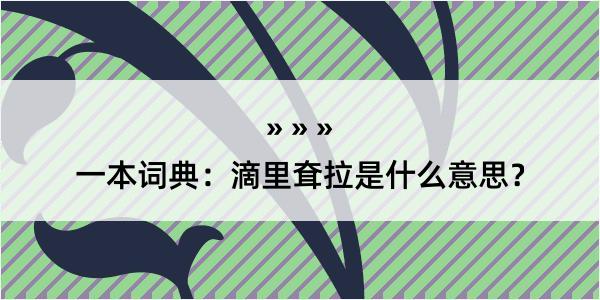 一本词典：滴里耷拉是什么意思？