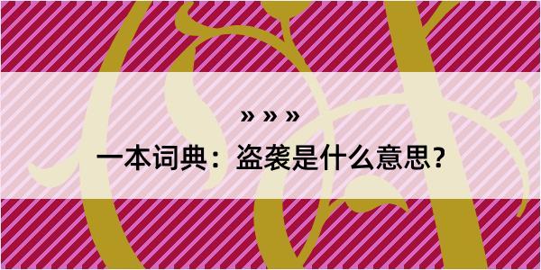 一本词典：盗袭是什么意思？