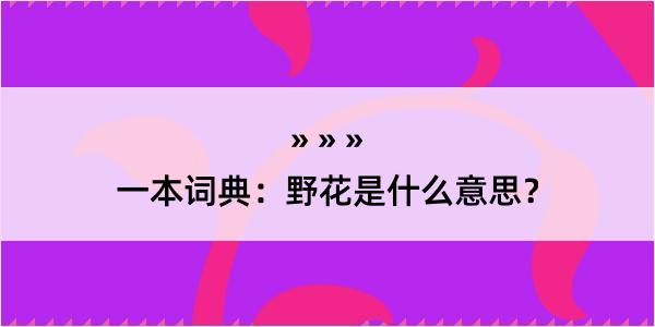 一本词典：野花是什么意思？