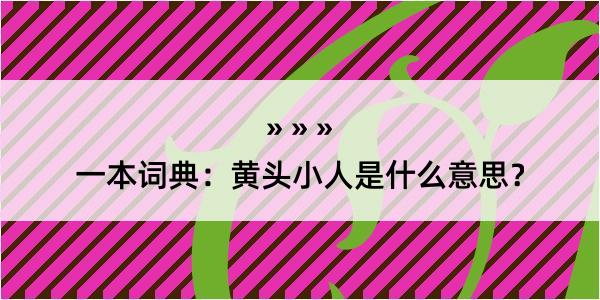 一本词典：黄头小人是什么意思？