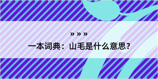 一本词典：山毛是什么意思？