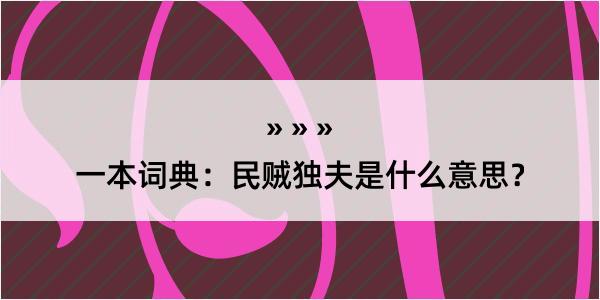 一本词典：民贼独夫是什么意思？