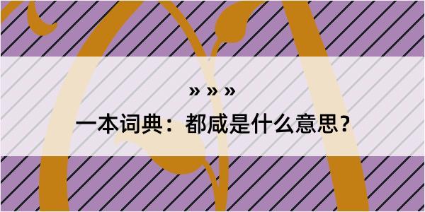 一本词典：都咸是什么意思？